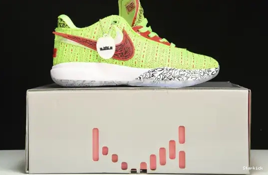 LeBron Nike  Stocking  Stuffer FJ4955-300 20 0514